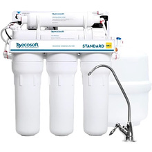 Фільтр ECOSOFT Standard 5-50P з помпою (MO550MPECOSTD)