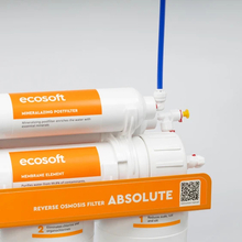 Фільтр ECOSOFT Absolute (MO675MPSECO)