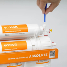 Фільтр ECOSOFT Absolute (MO675MPSECO)