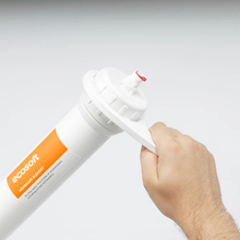 Фільтр ECOSOFT Absolute (MO675MPSECO)