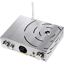 Усилитель мощности IFI Pro iCAN Studio Gray (90403722)