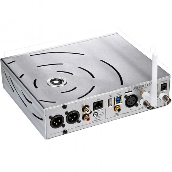 Внешний вид Усилитель мощности IFI Pro iCAN Studio Gray (90403722)