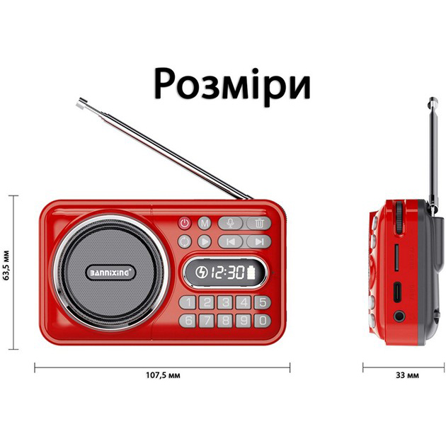 Радіогодинник ACTION Red (D-66) Функція snooze False