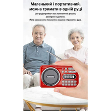 Радіогодинник ACTION Red (D-66)