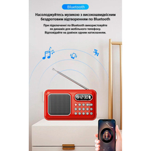 Радіогодинник ACTION Red (D-55)