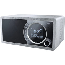 Радіоприймач SHARP DR-450(GR)