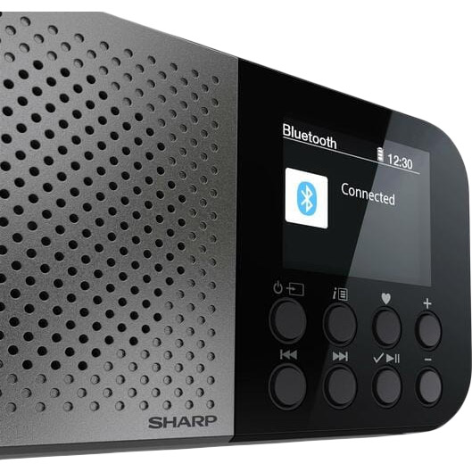 Зовнішній вигляд Радіоприймач SHARP DR-P520(GY)