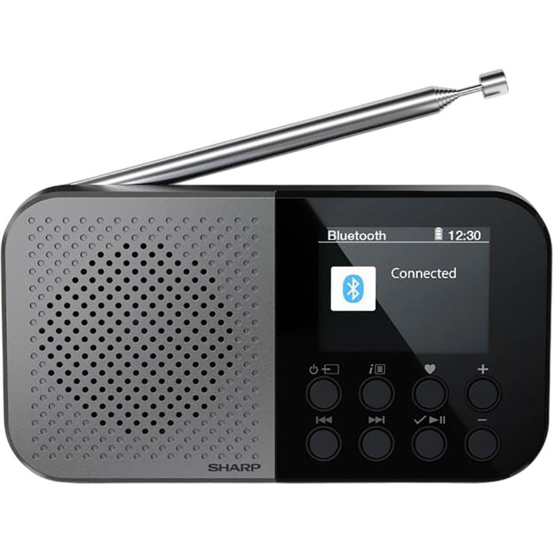 Радіоприймач SHARP DR-P520(GY)