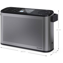 Радіоприймач SHARP DR-P540(GY)