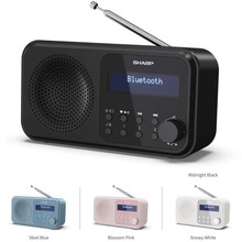 Радіоприймач SHARP DR-P420(GN)