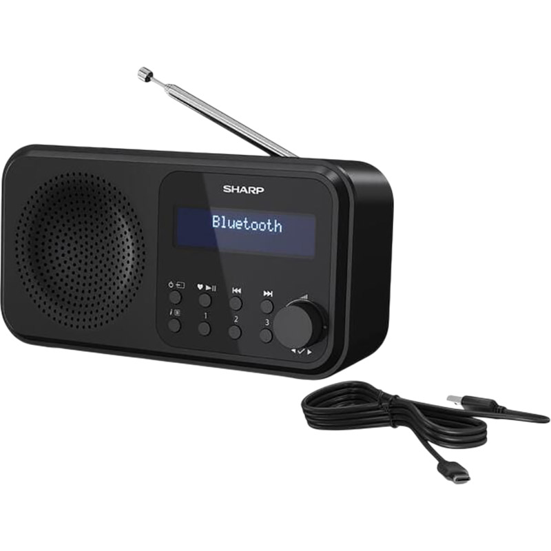 Зовнішній вигляд Радіоприймач SHARP DR-P420(GN)