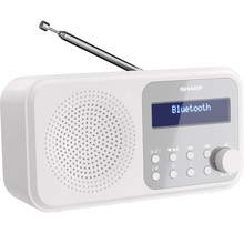 Радіоприймач SHARP DR-P420(WH)