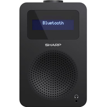 Радиоприемник SHARP DR-430(BK)