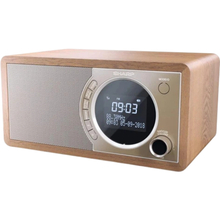 Радиоприемник SHARP DR-450(BR)