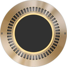 Колонка BANG & OLUFSEN BeoSound 2 GVA Speaker Brass Tone (1666713)