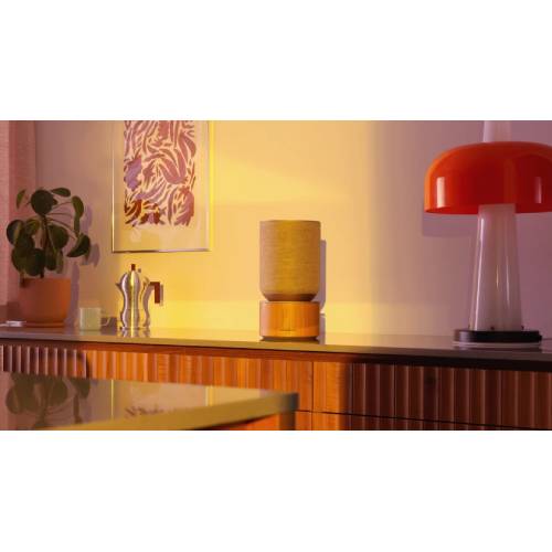 Покупка Акустическая система BANG & OLUFSEN Beosound Balance AL2 Black oak (1200503)