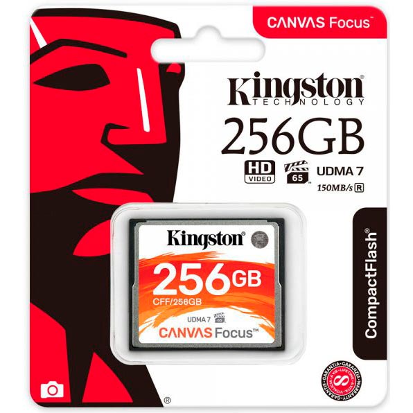 Карта памяти Kingston CompactFlash 256GB Canvas Focus (CFF/256GB) Тип карты Compact Flash (CF)