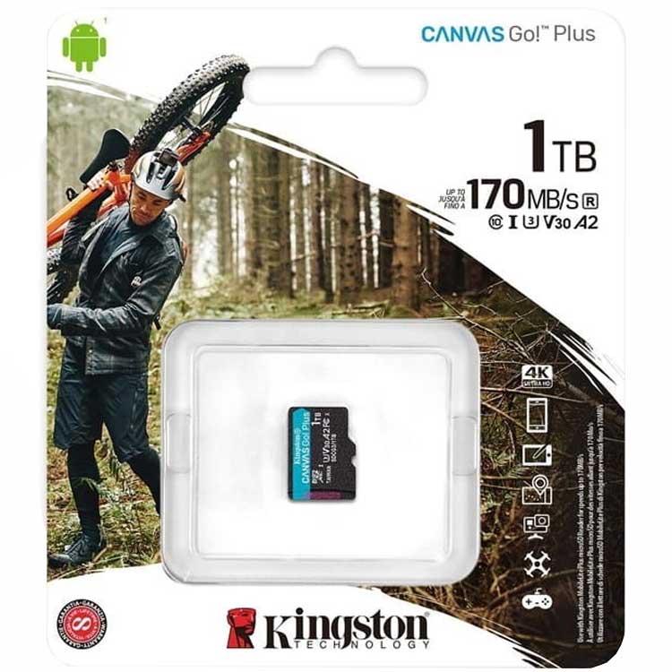 Карта пам'яті Kingston MicroSDXC 1TB UHS-I/U3 Class 10 Canvas Go! Plus (SDCG3/1TBSP) Тип карти micro-SDXC