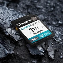 Карта памяти KINGSTON SDXC (UHS-1 U3) Canvas Go! Plus 1Tb class 10 A2 V30 (SDG4/1TB)