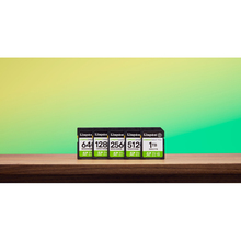 Карта памяти KINGSTON SDXC 256GB UHS-I Class 10 Canvas Select Plus (SDS3/256GB)