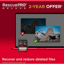 Карта пам'яті SANDISK SD 256GB C10 UHS-II U3 Extreme Pro V60 (SDSDXEP-256G-GN4IN)