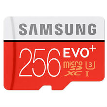 Карта пам'яті SAMSUNG microSDXC 256GB PLUS EVO UHS-I (MB-MC256DA/RU)