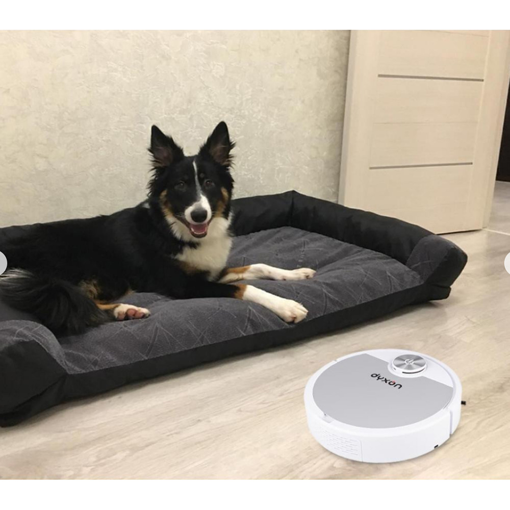 В інтернет магазині Робот-пилосос DYXON MEGAVAC 3000S PRO Wet Clean White-Silver