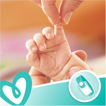 Вологі серветки PAMPERS Sens 80 шт (8001841041421)