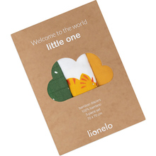 Набор пеленок LIONELO Dino Bamboo Box Multicolor (LO-DINO BAMBOO BOX Multicolor)