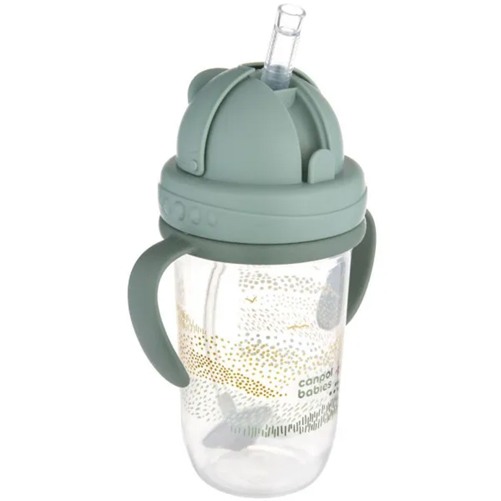 Поїлка CANPOL BABIES MOUNTAINS 270мл Green (56/620_gre) Вік дитини, місяців 6+