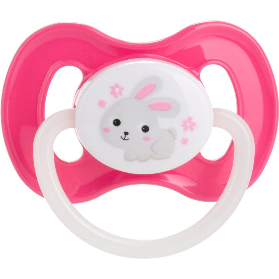 Пустышка CANPOL BABIES Bunny&Company 6-18 месяцев (23/278_pin_new)