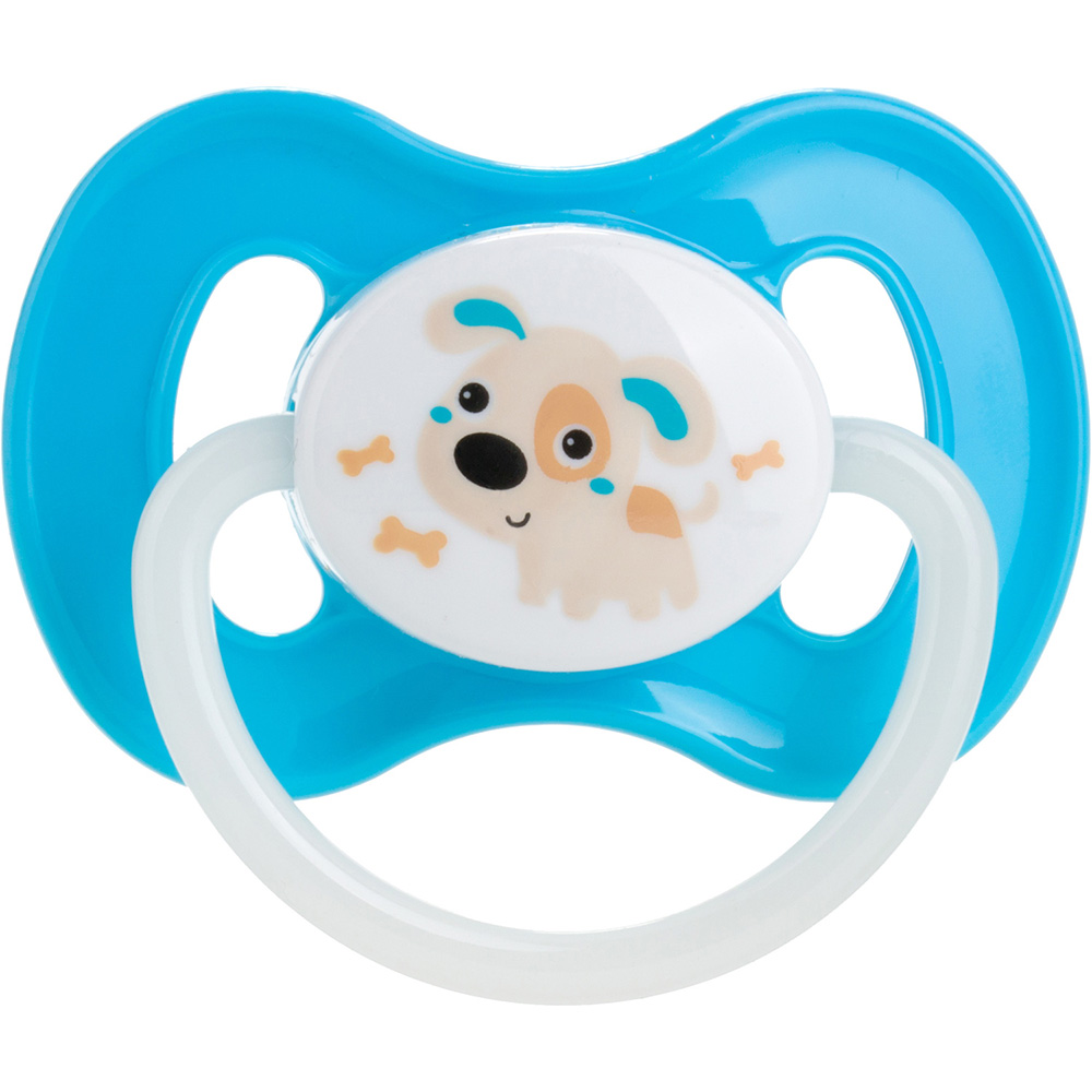 Пустышка CANPOL BABIES Bunny&Company 0-6 месяцев (23/277_blu_new)