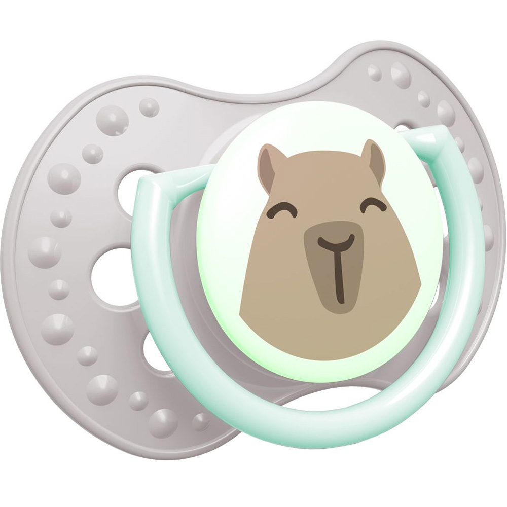 Пустушка LOVI CapiChill 18+ місяців 2 шт Blue (22/934boy) Розмір (вік) розмір С (від 18 місяців)