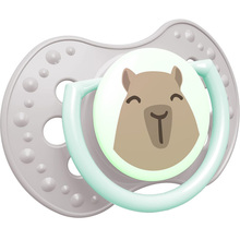 Пустушка LOVI CapiChill 18+ місяців 2 шт Blue (22/934boy)