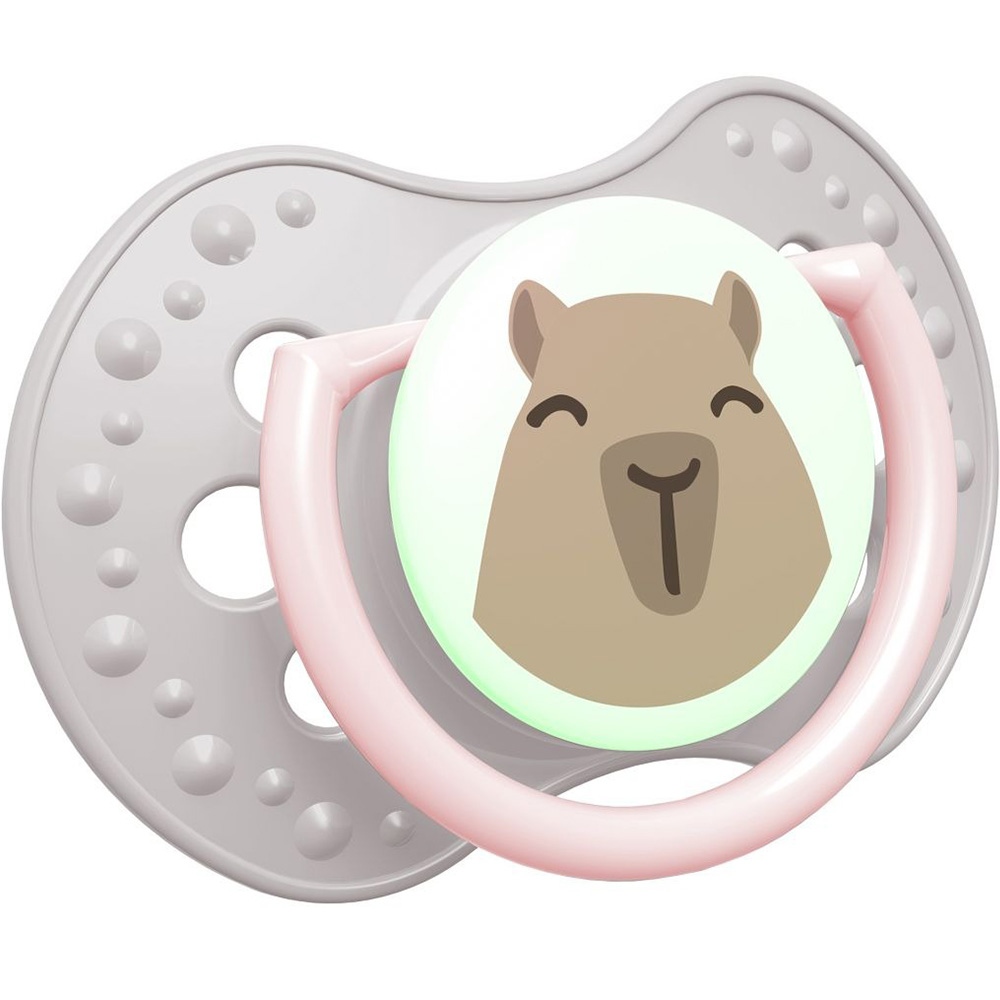 Пустушка LOVI CapiChill 18+ місяців 2 шт Pink (22/934girl) Розмір (вік) розмір С (від 18 місяців)