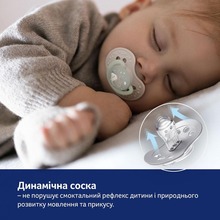 Пустушка LOVI 0-6 міс 2 шт Night&Day Girl Hedgehog (22/929) Пустушка LOVI 0-6 міс 2 шт Night&Day Girl Hedgehog (22/929)