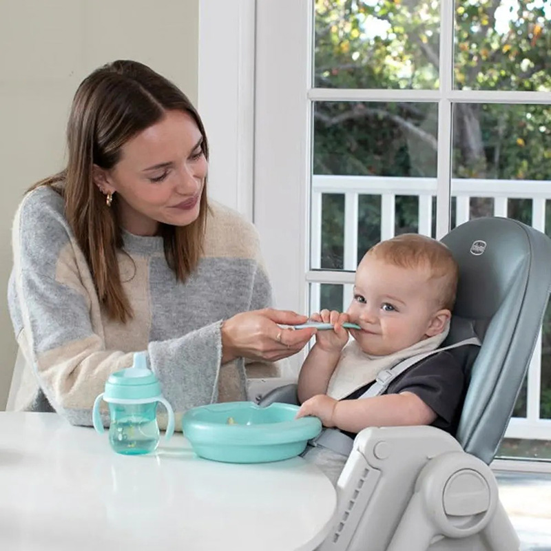 Ложка CHICCO First Spoon 8 м+ (16100.25) Матеріал пластик