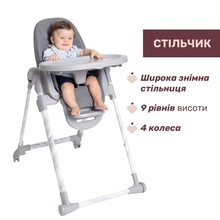 Стульчик для кормления CHICCO Polly Armonia Dark Gray (87140.43)