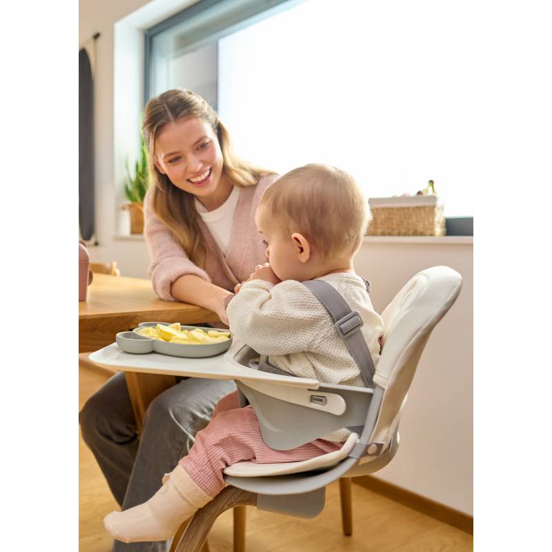В Украине Стульчик для кормления LIONELO DALIA SET GREY STONE NATURAL (LO-DALIA SET GREY STONE NATURAL)