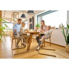 Стульчик для кормления LIONELO DALIA SET GREY STONE NATURAL (LO-DALIA SET GREY STONE NATURAL)