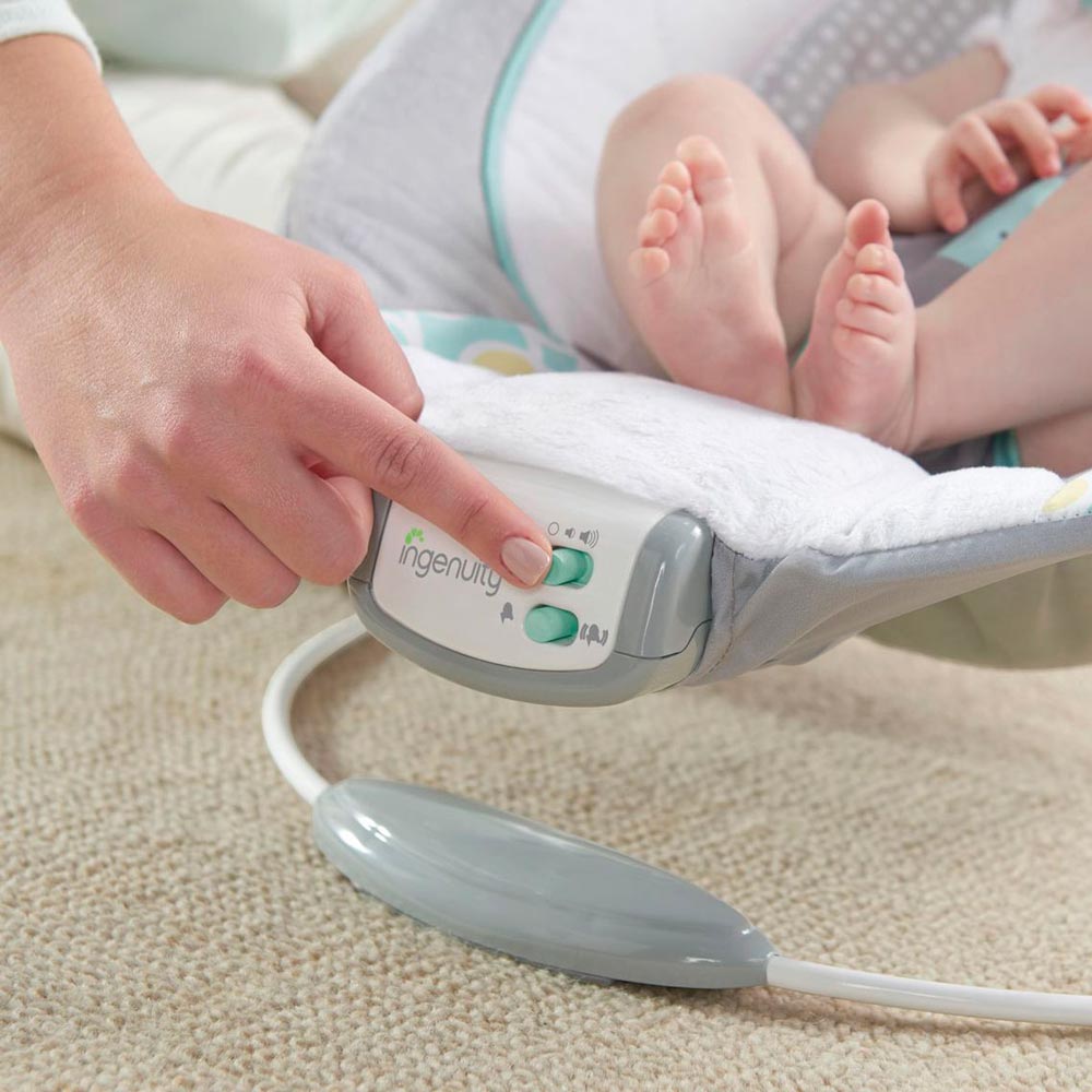 Зовнішній вигляд Крісло-гойдалка Ingenuity Morrison (11203)