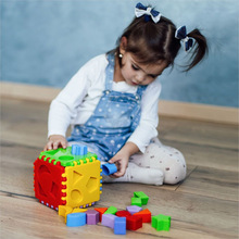 Сортер TIGRES Educational cube 24 эл (39781)