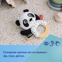 Прорезыватель CANPOL BABIES BabiesBoo с погремушкой (68/086)