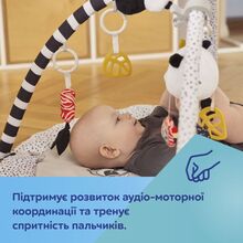 Килимок CANPOL BABIES BabiesBoo (68/092)