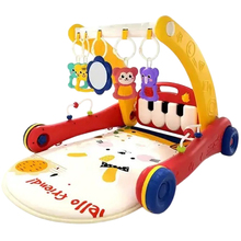 Ходунки Baby BIBI-INN з килимком (6049)