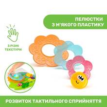 Развивающая игрушка CHICCO Sensory Flower (10156.00) Развивающая игрушка CHICCO Sensory Flower (10156.00)