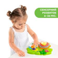 Развивающая игрушка CHICCO Sensory Flower (10156.00) Развивающая игрушка CHICCO Sensory Flower (10156.00)