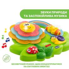 Развивающая игрушка CHICCO Sensory Flower (10156.00) Развивающая игрушка CHICCO Sensory Flower (10156.00)