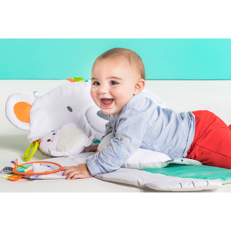 Килимок для розвитку BRIGHT STARTS Tummy Time Prop Play (10841) Замовити Килимок для розвитку BRIGHT STARTS Tummy Time Prop Play (10841)