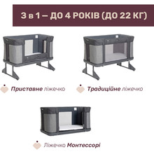 Ліжечко CHICCO Next2Me Forever 3 в 1 Dark Grey (79650.27) Ліжечко CHICCO Next2Me Forever 3 в 1 Dark Grey (79650.27)